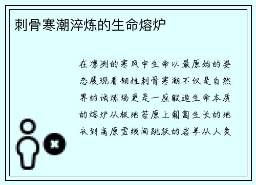 刺骨寒潮淬炼的生命熔炉